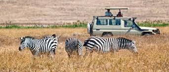 4-Days Budget Safari Itinerarary Manyara ,Serengeti ,Ngorongoro.